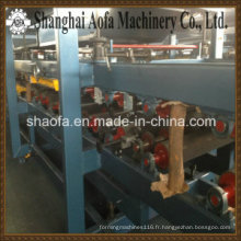 Ligne de produits EPS Shandwich Panel Machine (AF-S1050)